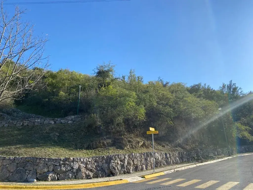 Terreno en Venta en Bosques de Valle Alto, Carretera Nacional