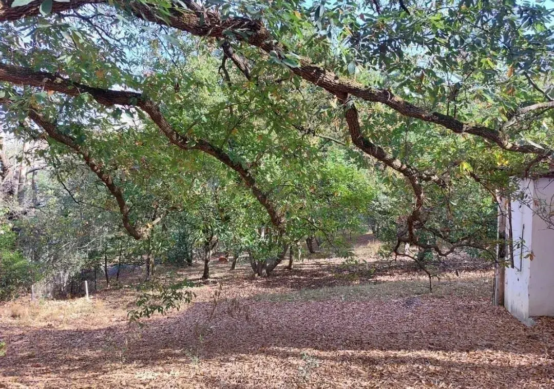 Terreno en Venta en Santiago