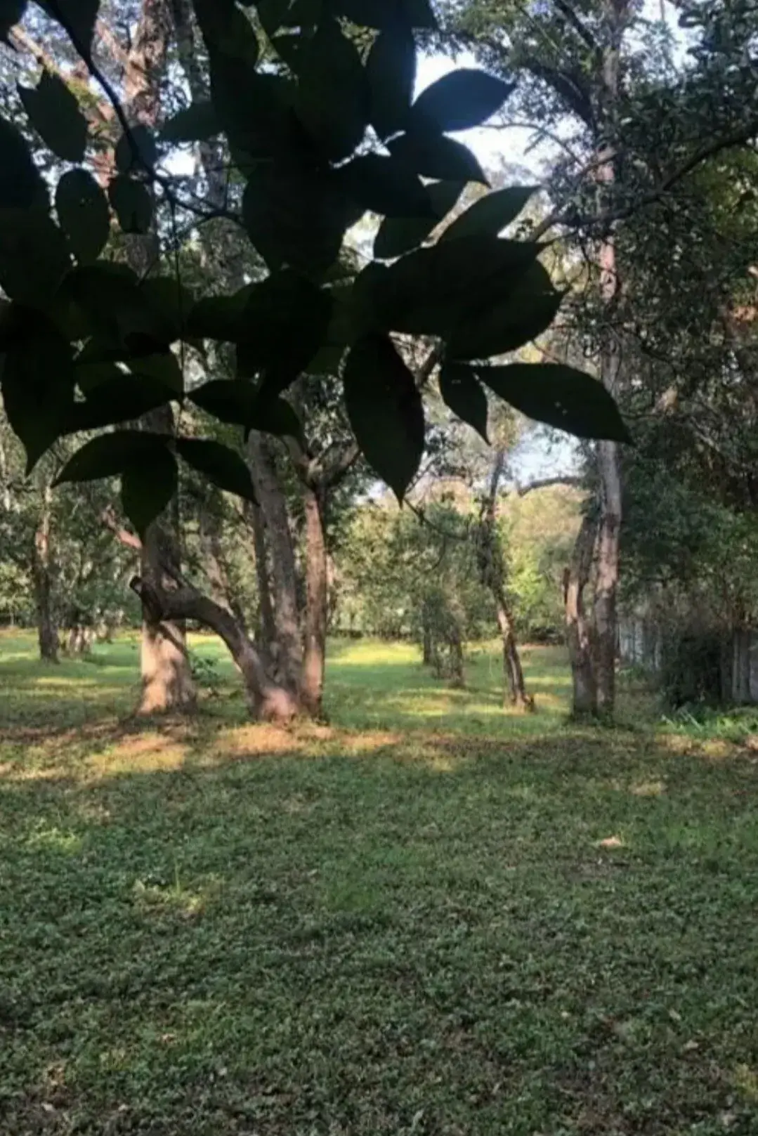 Terreno en Venta en San Francisco, Santiago, N.L.