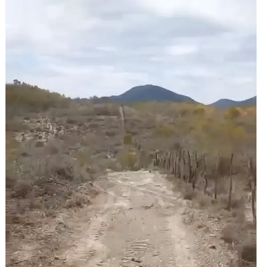 Vendo terreno en Linares 28 hectareas excelente para caceria