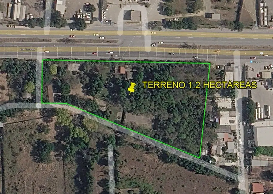 Fotografía 2 de Terreno en venta en El Alamo, Carretera Nacional, Santiago N.L.