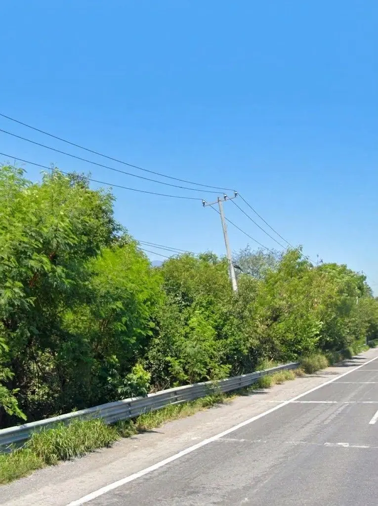 Fotografía 5 de Terreno en venta en El Alamo, Carretera Nacional, Santiago N.L.