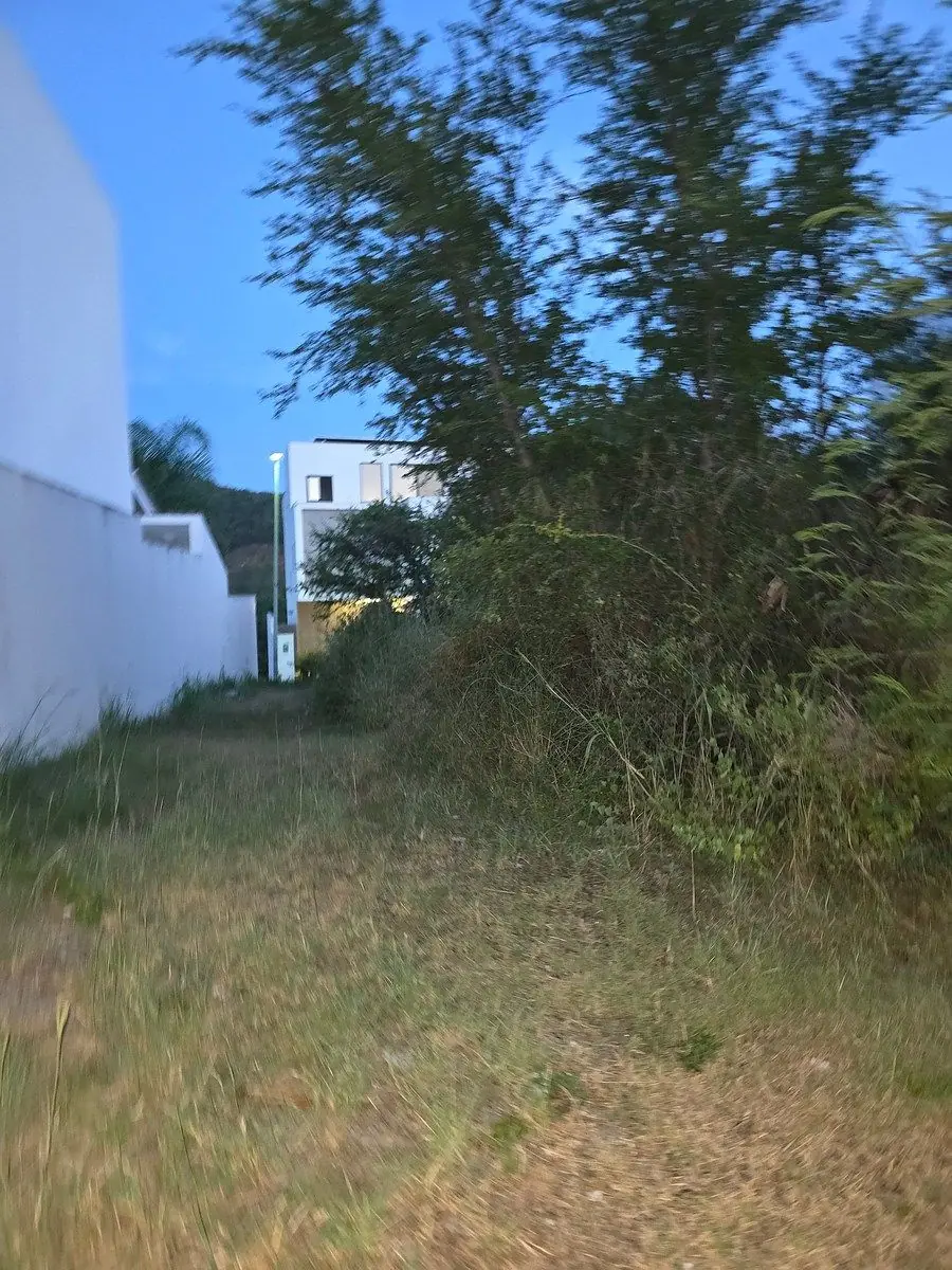 Fotografía 11 de VENTA TERRENO CAROLCO